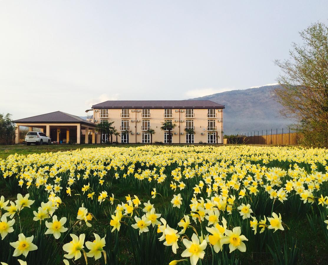 Hotel Askar Alakhadze Bagian luar foto